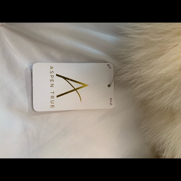 100% Cashmere Pashmina Shawl by Jacqueline Lampert, ASPEN TRUE founder/designer - Picture 4 of 6